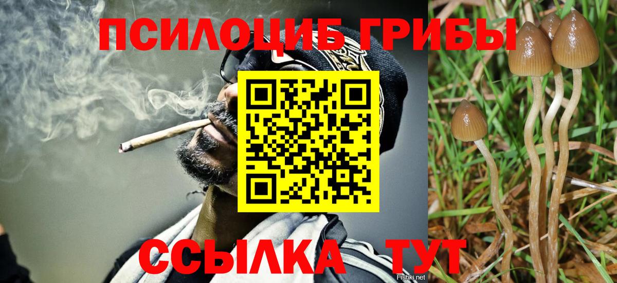 Псилоцибиновые грибы Magic Shrooms Алексин