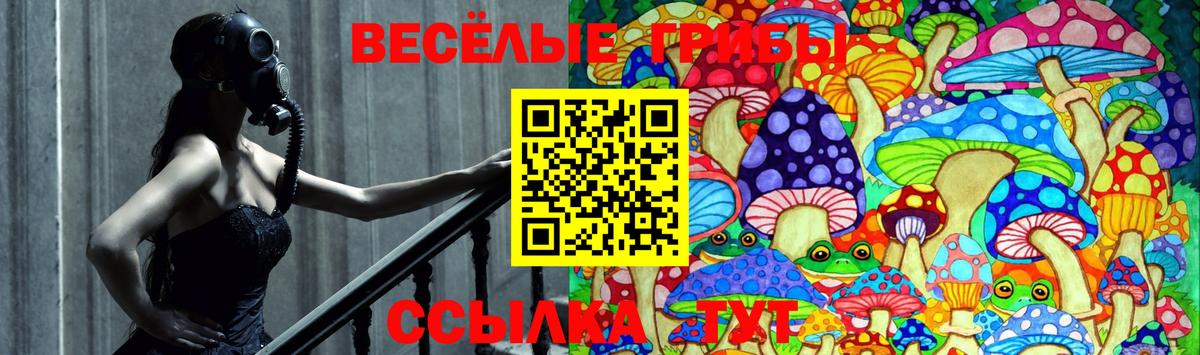 Галлюциногенные грибы MAGIC MUSHROOMS  Вход с VPN  Алексин  Галлюциногенные грибы мицелий 